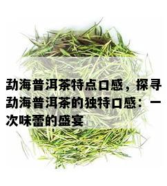 勐海普洱茶特点口感，探寻勐海普洱茶的独特口感：一次味蕾的盛宴