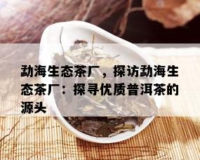 勐海生态茶厂，探访勐海生态茶厂：探寻优质普洱茶的源头