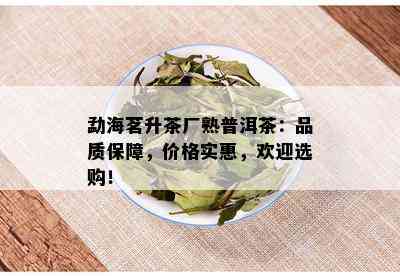 勐海茗升茶厂熟普洱茶：品质保障，价格实惠，欢迎选购！