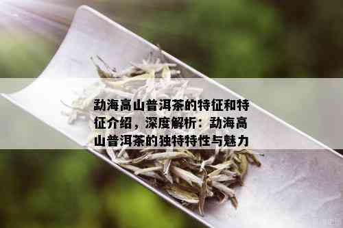 勐海高山普洱茶的特征和特征介绍，深度解析：勐海高山普洱茶的独特特性与魅力