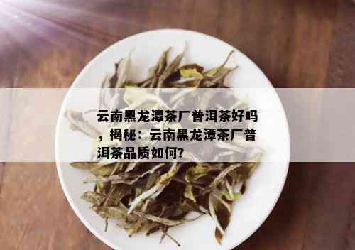 云南黑龙潭茶厂普洱茶好吗，揭秘：云南黑龙潭茶厂普洱茶品质如何？