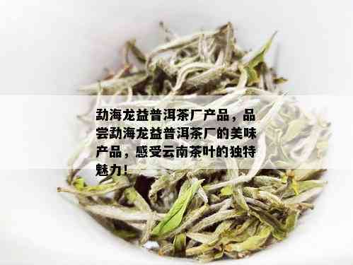 勐海龙益普洱茶厂产品，品尝勐海龙益普洱茶厂的美味产品，感受云南茶叶的独特魅力！