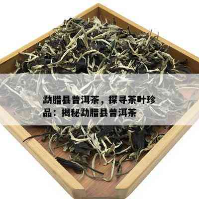 勐腊县普洱茶，探寻茶叶珍品：揭秘勐腊县普洱茶