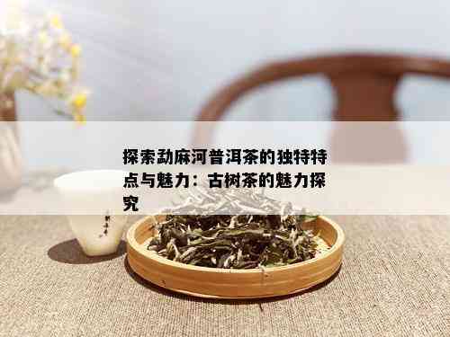 探索勐麻河普洱茶的独特特点与魅力：古树茶的魅力探究