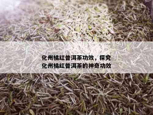 化州橘红普洱茶功效，探究化州橘红普洱茶的神奇功效