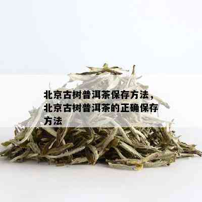 北京古树普洱茶保存方法，北京古树普洱茶的正确保存方法