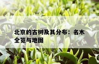 北京的古树及其分布：名木全览与地图