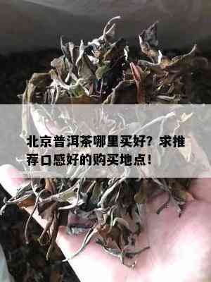 北京普洱茶哪里买好？求推荐口感好的购买地点！