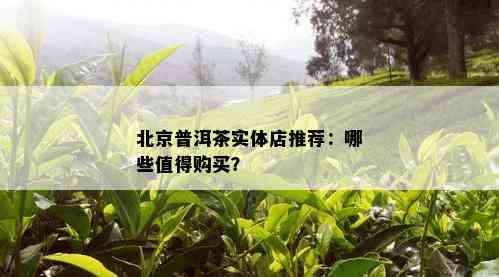 北京普洱茶实体店推荐：哪些值得购买？