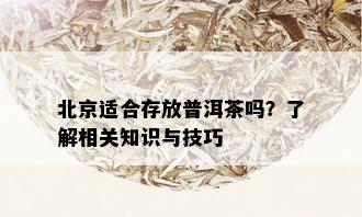 北京适合存放普洱茶吗？了解相关知识与技巧