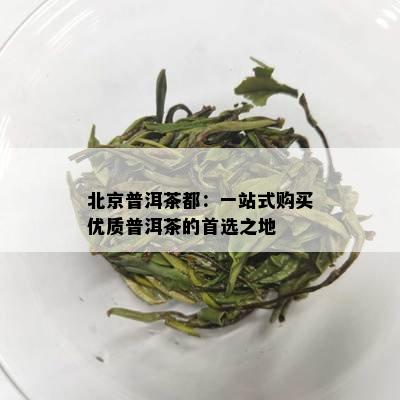 北京普洱茶都：一站式购买优质普洱茶的首选之地