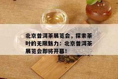 北京普洱茶展览会，探索茶叶的无限魅力：北京普洱茶展览会即将开幕！