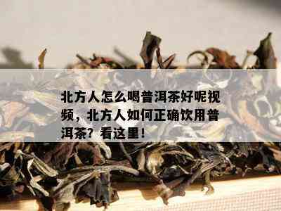 北方人怎么喝普洱茶好呢视频，北方人如何正确饮用普洱茶？看这里！