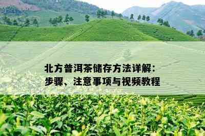 北方普洱茶储存方法详解：步骤、注意事项与视频教程