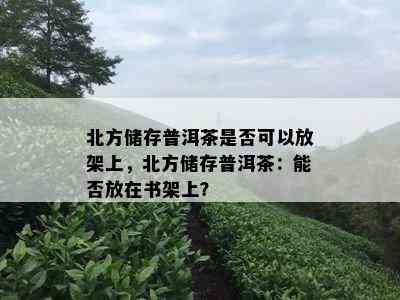 北方储存普洱茶是否可以放架上，北方储存普洱茶：能否放在书架上？