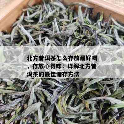 北方普洱茶怎么存放更好喝，存放心得味：详解北方普洱茶的更佳储存方法