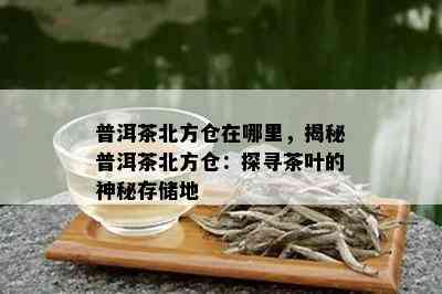 普洱茶北方仓在哪里，揭秘普洱茶北方仓：探寻茶叶的神秘存储地