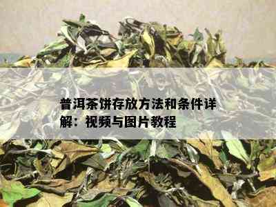 普洱茶饼存放方法和条件详解：视频与图片教程