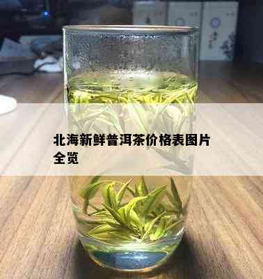 北海新鲜普洱茶价格表图片全览