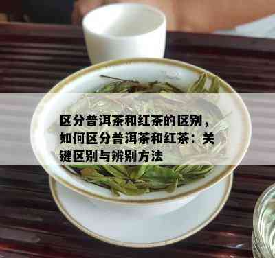 区分普洱茶和红茶的区别，如何区分普洱茶和红茶：关键区别与辨别方法