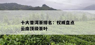 十大普洱茶排名：权威盘点云南顶级茶叶