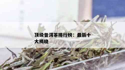 顶级普洱茶排行榜：最新十大揭晓