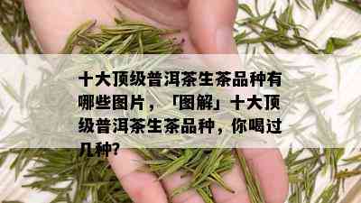 十大顶级普洱茶生茶品种有哪些图片，「图解」十大顶级普洱茶生茶品种，你喝过几种？