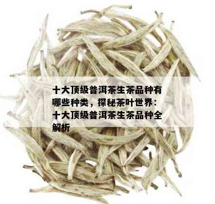 十大顶级普洱茶生茶品种有哪些种类，探秘茶叶世界：十大顶级普洱茶生茶品种全解析