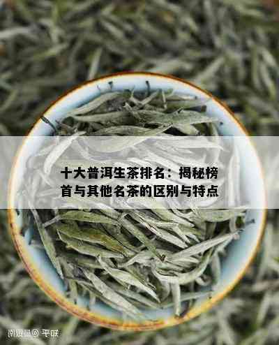 十大普洱生茶排名：揭秘榜首与其他名茶的区别与特点