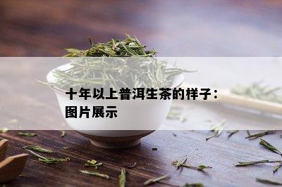 十年以上普洱生茶的样子：图片展示