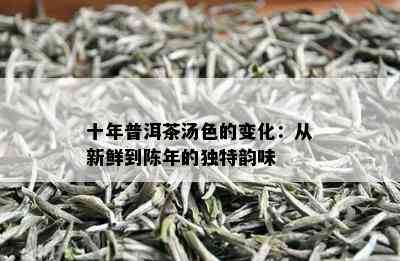 十年普洱茶汤色的变化：从新鲜到陈年的独特韵味