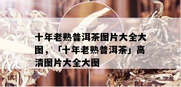 十年老熟普洱茶图片大全大图，「十年老熟普洱茶」高清图片大全大图