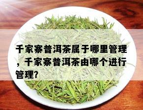 千家寨普洱茶属于哪里管理，千家寨普洱茶由哪个进行管理？