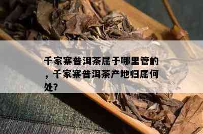 千家寨普洱茶属于哪里管的，千家寨普洱茶产地归属何处？