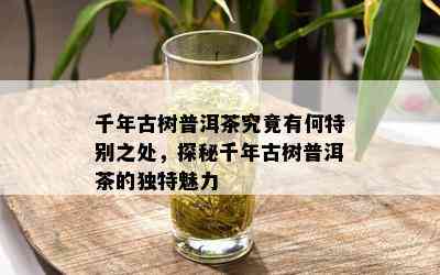 千年古树普洱茶究竟有何特别之处，探秘千年古树普洱茶的独特魅力