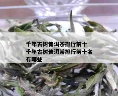 千年古树普洱茶排行前十-千年古树普洱茶排行前十名有哪些