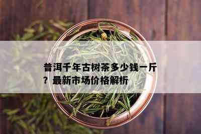 普洱千年古树茶多少钱一斤？最新市场价格解析