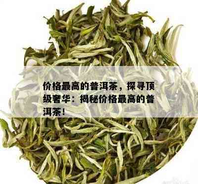 价格更高的普洱茶，探寻顶级奢华：揭秘价格更高的普洱茶！