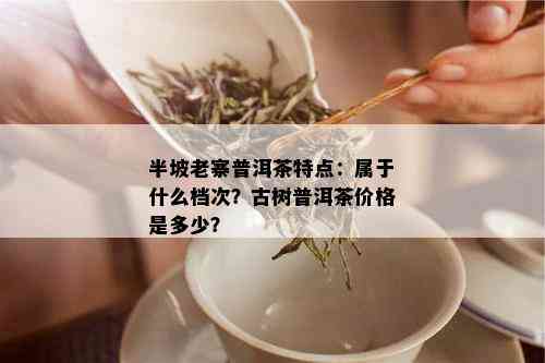 半坡老寨普洱茶特点：属于什么档次？古树普洱茶价格是多少？