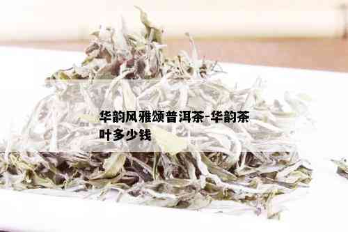 华韵风雅颂普洱茶-华韵茶叶多少钱