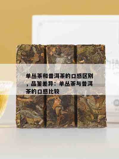 单丛茶和普洱茶的口感区别，品鉴差异：单丛茶与普洱茶的口感比较