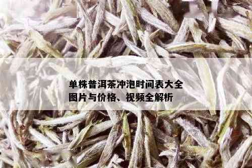 单株普洱茶冲泡时间表大全图片与价格、视频全解析