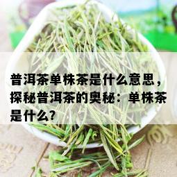 普洱茶单株茶是什么意思，探秘普洱茶的奥秘：单株茶是什么？