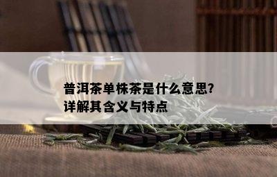 普洱茶单株茶是什么意思？详解其含义与特点