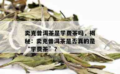 卖克普洱茶是学费茶吗，揭秘：卖克普洱茶是否真的是“学费茶”？