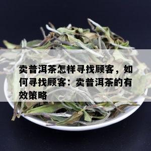 卖普洱茶怎样寻找顾客，如何寻找顾客：卖普洱茶的有效策略