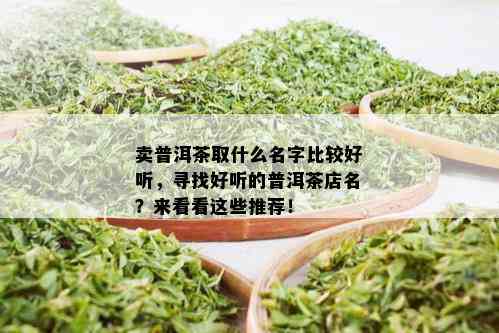 卖普洱茶取什么名字比较好听，寻找好听的普洱茶店名？来看看这些推荐！