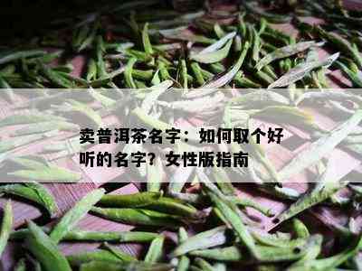 卖普洱茶名字：如何取个好听的名字？女性版指南