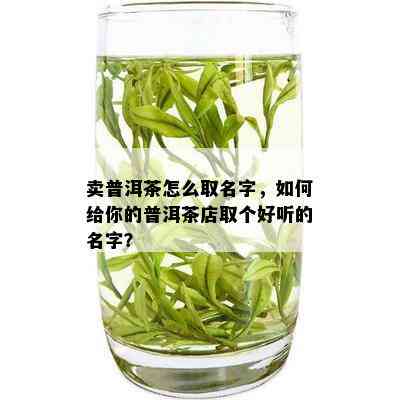 卖普洱茶怎么取名字，如何给你的普洱茶店取个好听的名字？