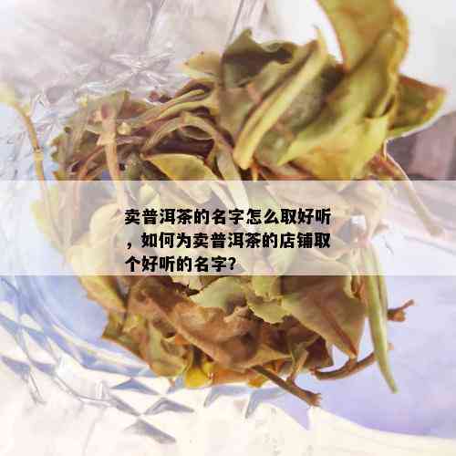 卖普洱茶的名字怎么取好听，如何为卖普洱茶的店铺取个好听的名字？